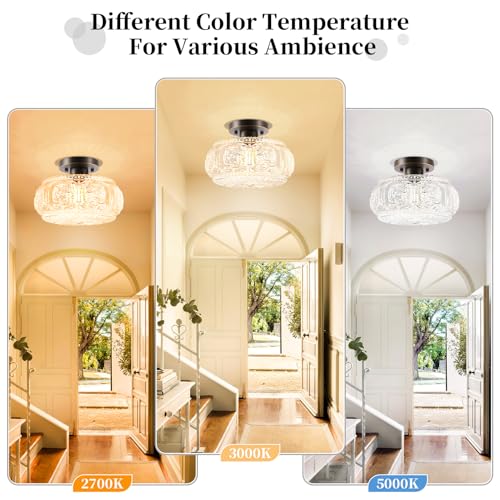 Semi Flush Mount Ceiling Light