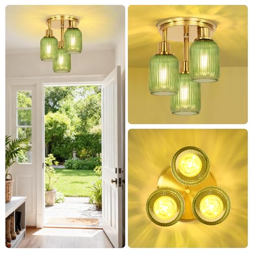 Semi Flush Mount Ceiling Light