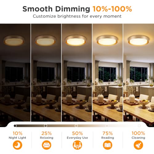 2 Pack Flush Mount Ceiling Light (Gold)