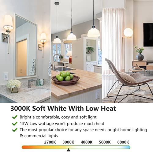 A19 LED Light Bulbs (4 Count)