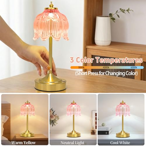 Cordless Table Lamp