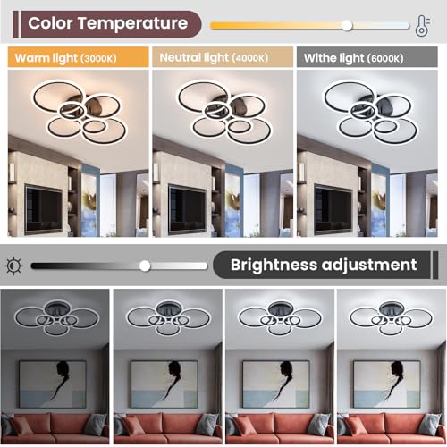 Modern Ceiling Light