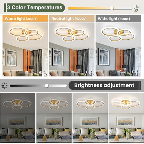 Modern LED Ceiling Light