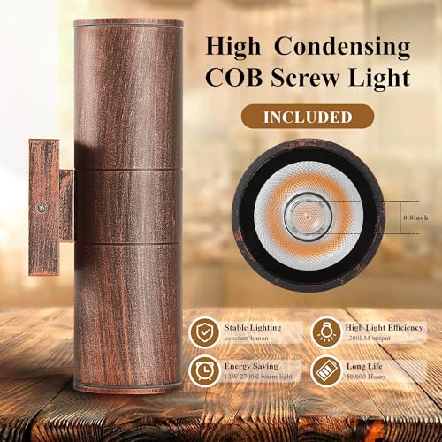 Outdoor Wall Lights 2 Packs (2 Count)