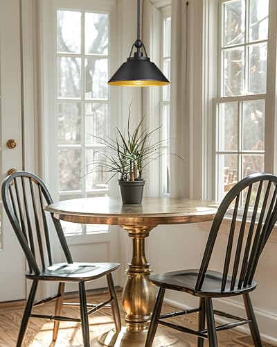 Barn Pendant Light Fixture