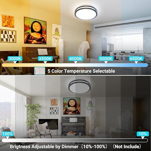 10Inch Flush Mount Ceiling Lights