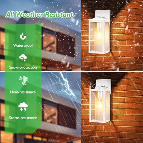 Outdoor Wall Light