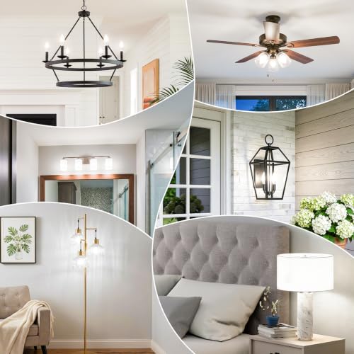 E12 LED Bulbs (6 Count)