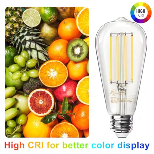12 Pack Edison LED Light Bulbs (12 Count)