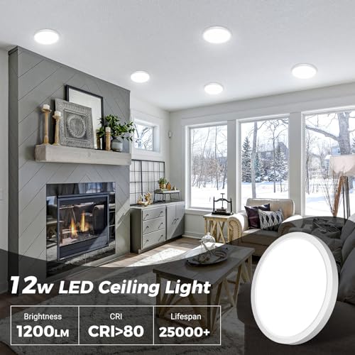 LED Ceiling Light 6.5 Inch (2 Count)