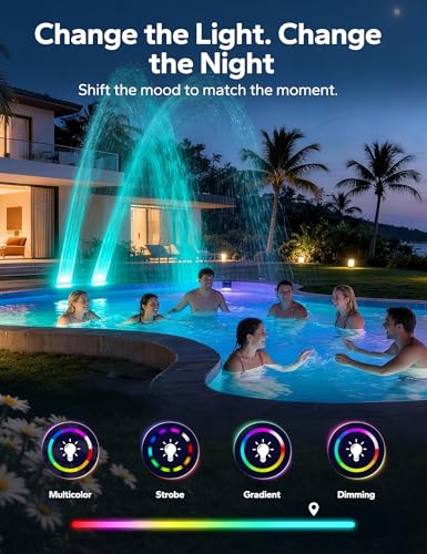 Solar Pool Fountain with 10