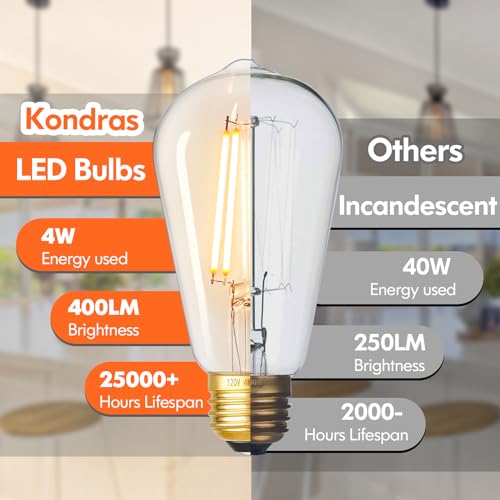 Dimmable Vintage LED Edison Bulbs (4 Count)