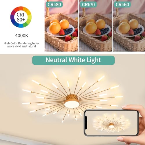 Modern Ceiling Light
