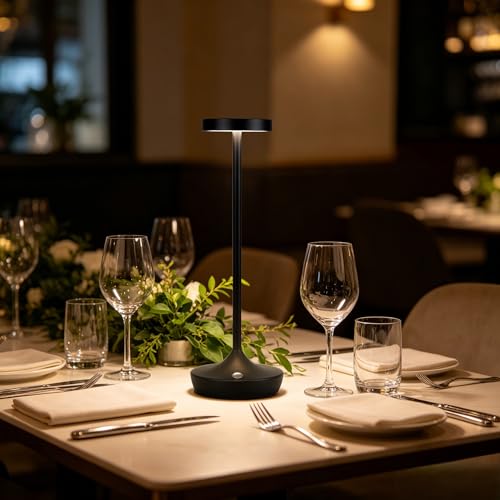 2 Pack Rechargeable Cordless Table Lamps 6000mAh LED Battery Table Light