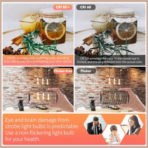 6Pack Edison Light Bulbs 60W Equivalent (6 Count)