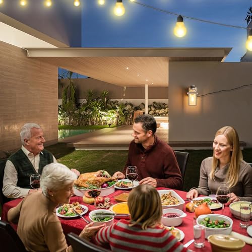 Porch Lights with GFCI Outlet Dusk to Dawn Outdoor Lighting White 1Pack