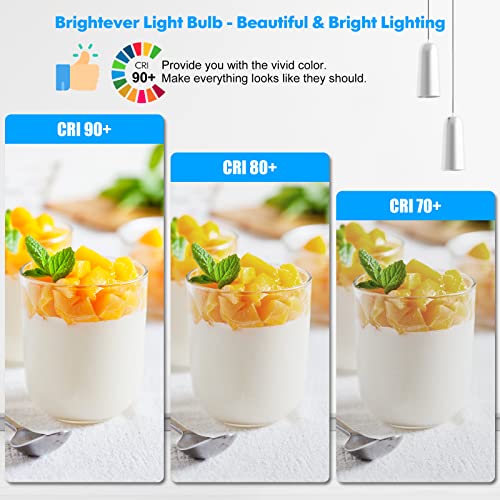 LED Light Bulbs (30 Count)