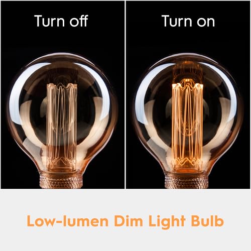 Dimmable Edison Bulb E26 Vintage Round LED Light LowLumen Amber G95