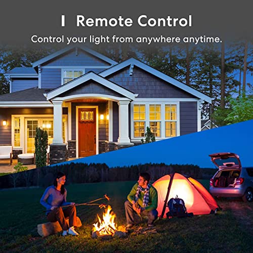 Smart Light Bulb 4 Pack (4 Count)