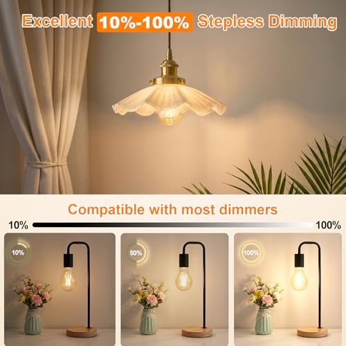 A19 Vintage LED Edison Light Bulb (6 Count)