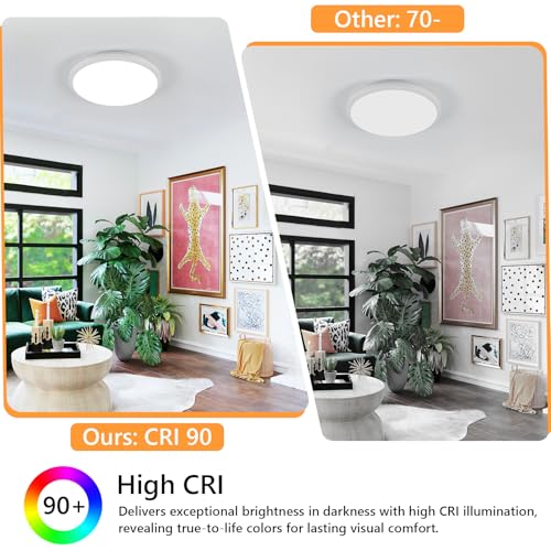 2 Pack 12 Inch LED Flush Mount Ceiling Light (2 Count)