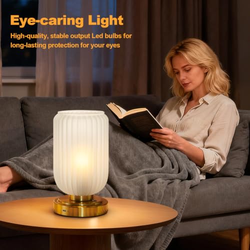 Cordless Table Lamp for Bedroom