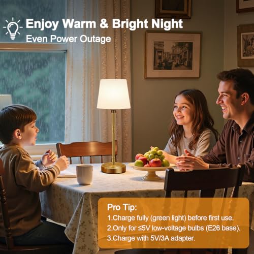 Cordless Table Lamps Set of 2 (2 Count)