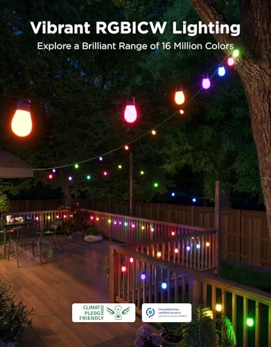 S14 Bulb Outdoor String Lights 2 (144 Foot)