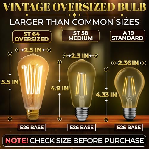 4 Pack Vintage Edison Bulbs (4 Count)
