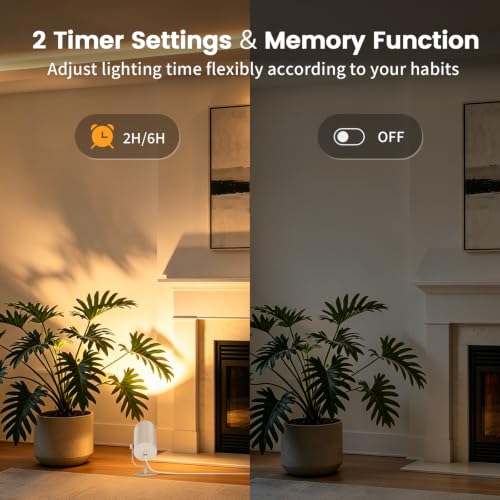 Uplights Indoor 2 Pack (White / 2 Pack)