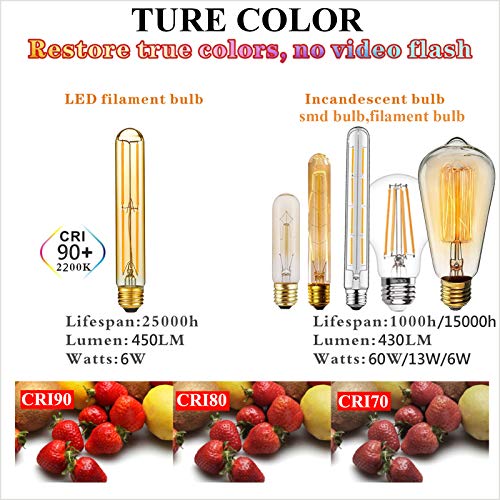 E26 T10 Edison Bulbs (6 Count)