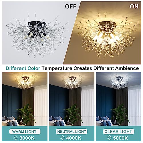 Black Ceiling Light Fixture