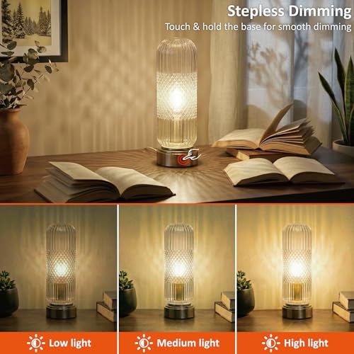 11.6 Inch Touch Dimmable Table Lamp with Ribbed Glass Shade
