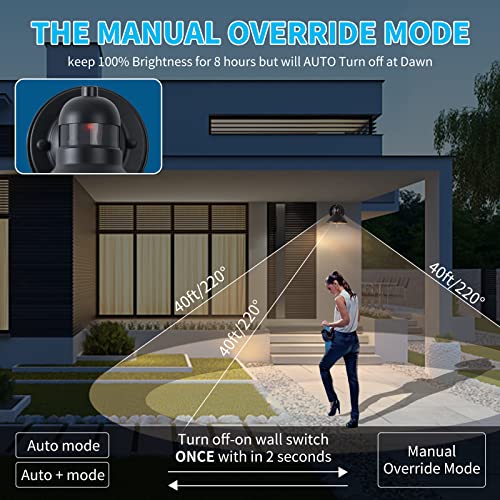 Dusk to Dawn Motion Sensor Outdoor LED Porch Wall Light Fixture
