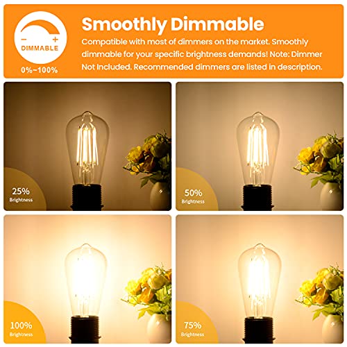 Vintage LED Dimmable Edison Light Bulbs 100W Incandescent Equivalent (4 Count)