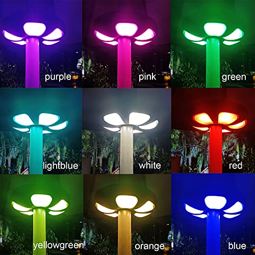 Color Umbrella Light with Remote