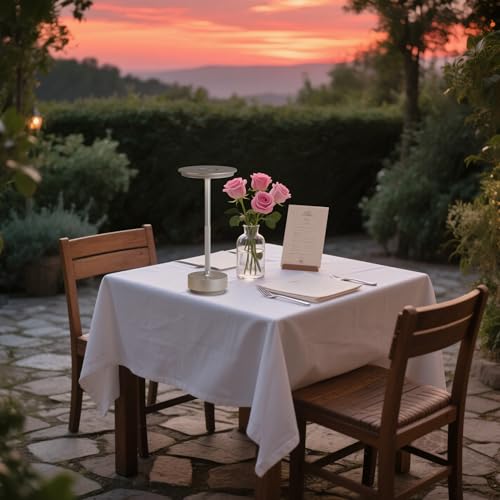 2 Pack Cordless Table Lamps Rechargeable (2 Count)