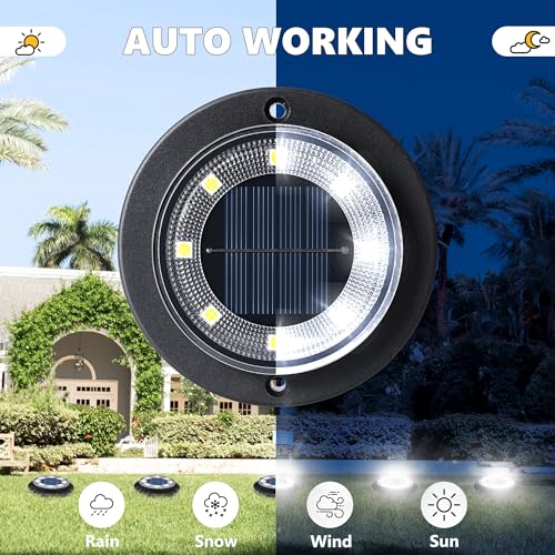 Solar Lights Outdoor Waterproof (8 Count)