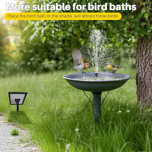5.5W Solar Fountain Pump with Dry
