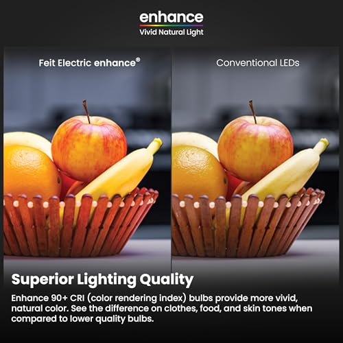 A19 LED Light Bulb (4 Count)