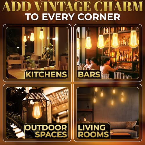 4 Pack Vintage Edison Bulbs (4 Count)