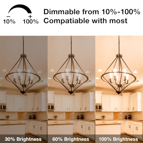 12 Pack Vintage LED Edison Bulbs (12 Count)