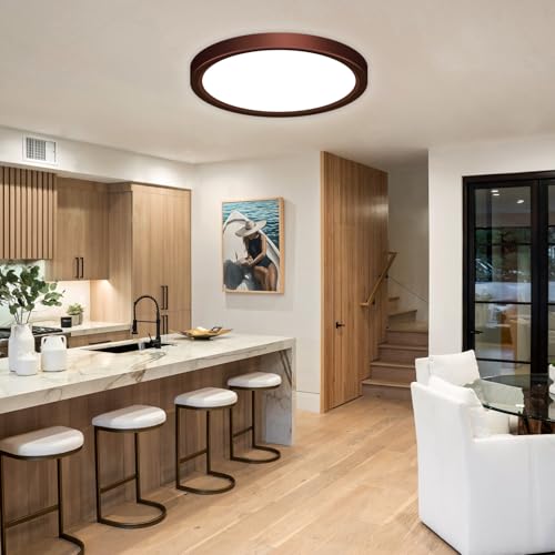 LED Flush Mount Ceiling Light Fixture
