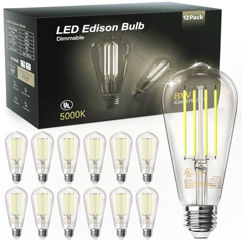 12 Pack Edison LED Light Bulbs (12 Count)