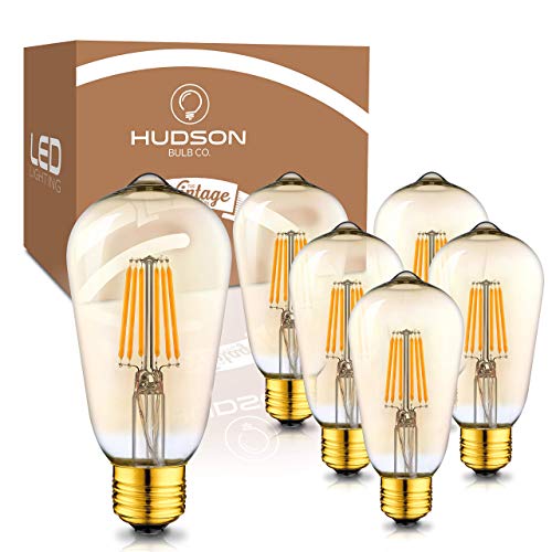 Hudson Vintage LED Edison 6W Bulb Set (6 Count)