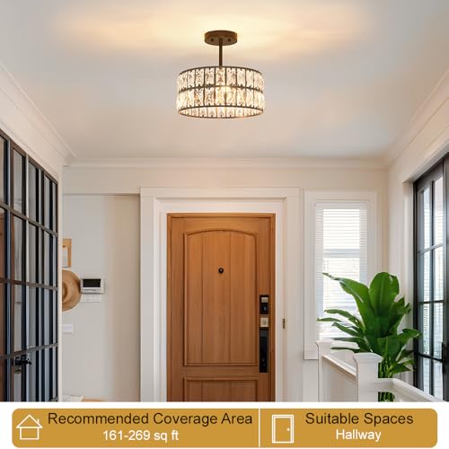 Matte Black Crystal Ceiling Light