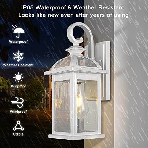 Outdoor Lights Fixtures Wall Mount (2 Count)