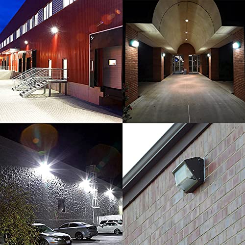 LED Wall Pack Light with Dusk to Dawn Photocell (2 Count)