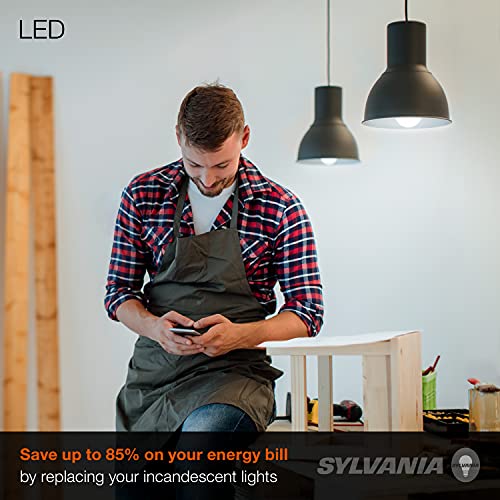Sylvania LED Light Bulb