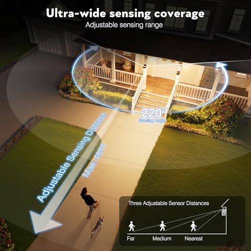 Outdoor Porch Lights Wall Mount (2 Count)